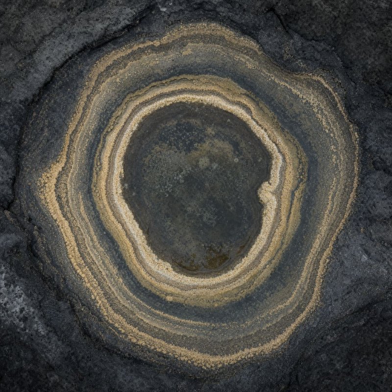 Bare Sediments — portrait